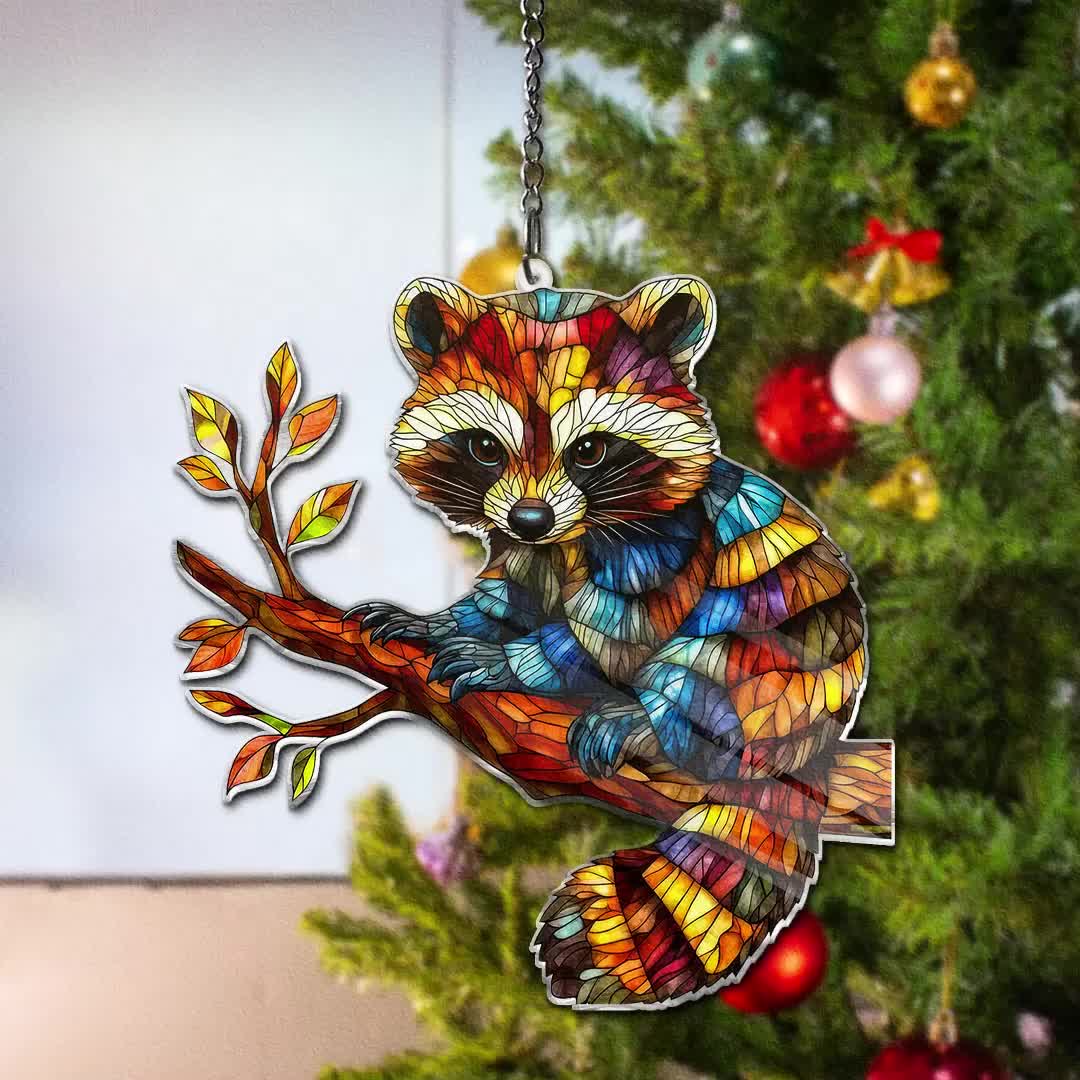 Photo | Le Raton Laveur, Mignon Mais Nuisible