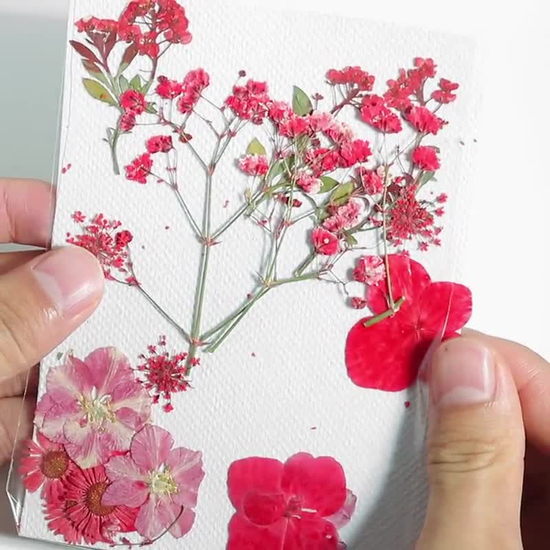 Dried Pressed Flowers for Crafts Pressed Flowers Mix Pack Dry Pressed  Flower Art Dried Real Flowers Card Making 145x106mm HM1024 