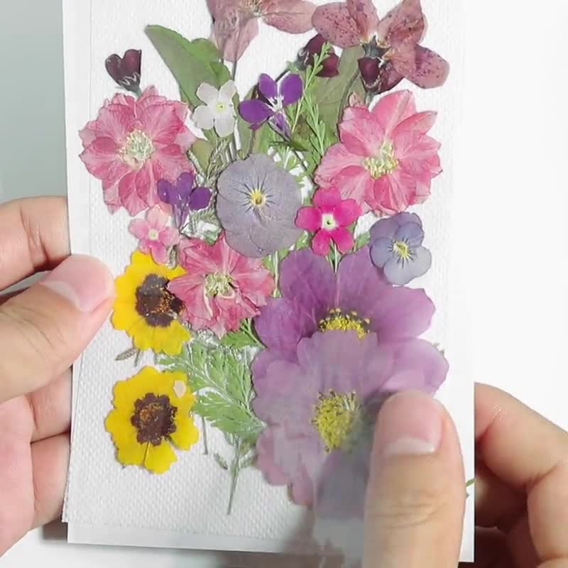 Dried Pressed Flowers for Crafts Pressed Flowers Mix Pack Dry Pressed  Flower Art Dried Real Flowers Card Making 145x106mm HM1022 