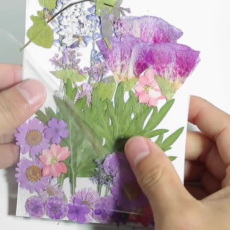 40 PCS Dried Pressed Flowers for Crafts, Pressed Flowers Mixed Pack, Dry  Pressed Flower Art, Dried Flower Wedding, Card Making, Scrapbooking 