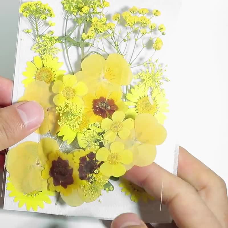 Dried Pressed Flowers For Crafts - Pressed Flowers Mix Pack - Dry Pressed  Flower Art - Dried Real Flowers - Card Making - 145x106mm - HM1030
