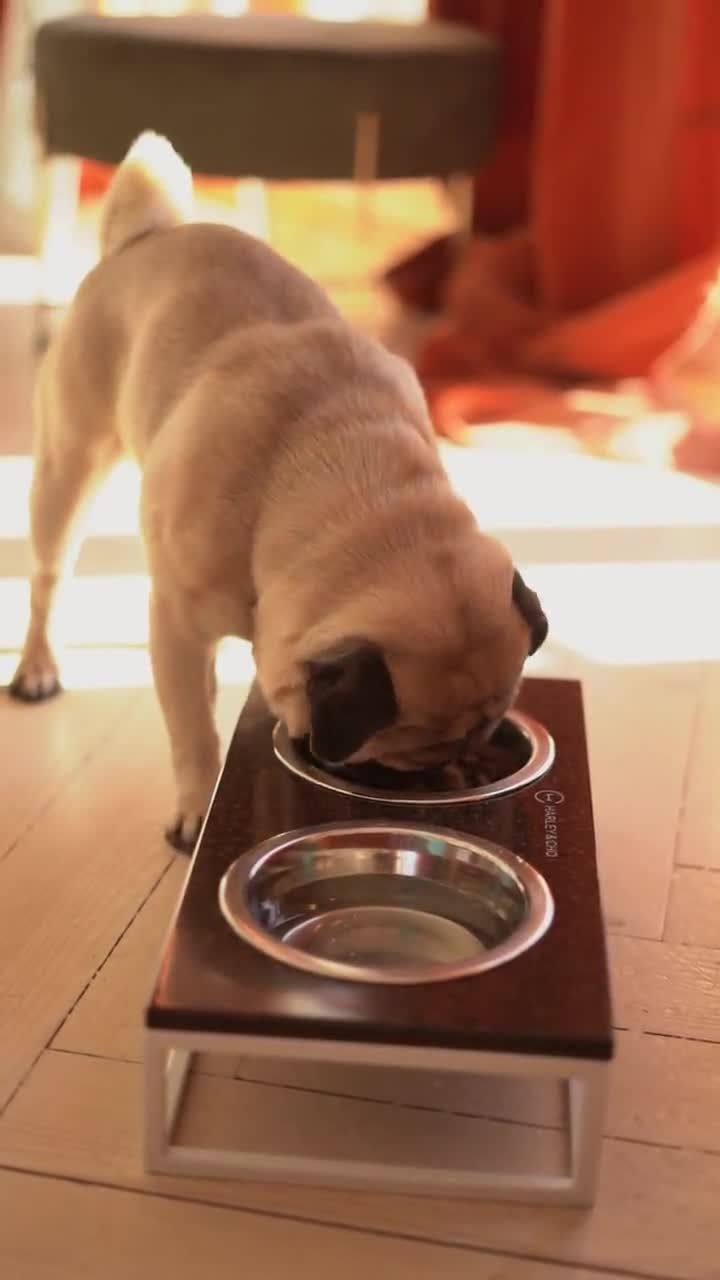 Small Dog Feeder / Small Dog Bowls Stand With Stone Top and -  Israel