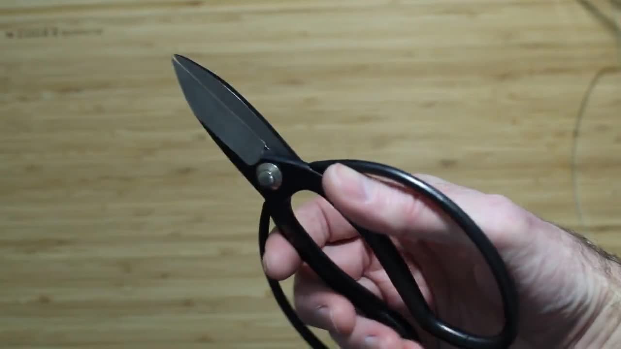 Silky Japanese Kitchen Shears - Black - Hasu-Seizo