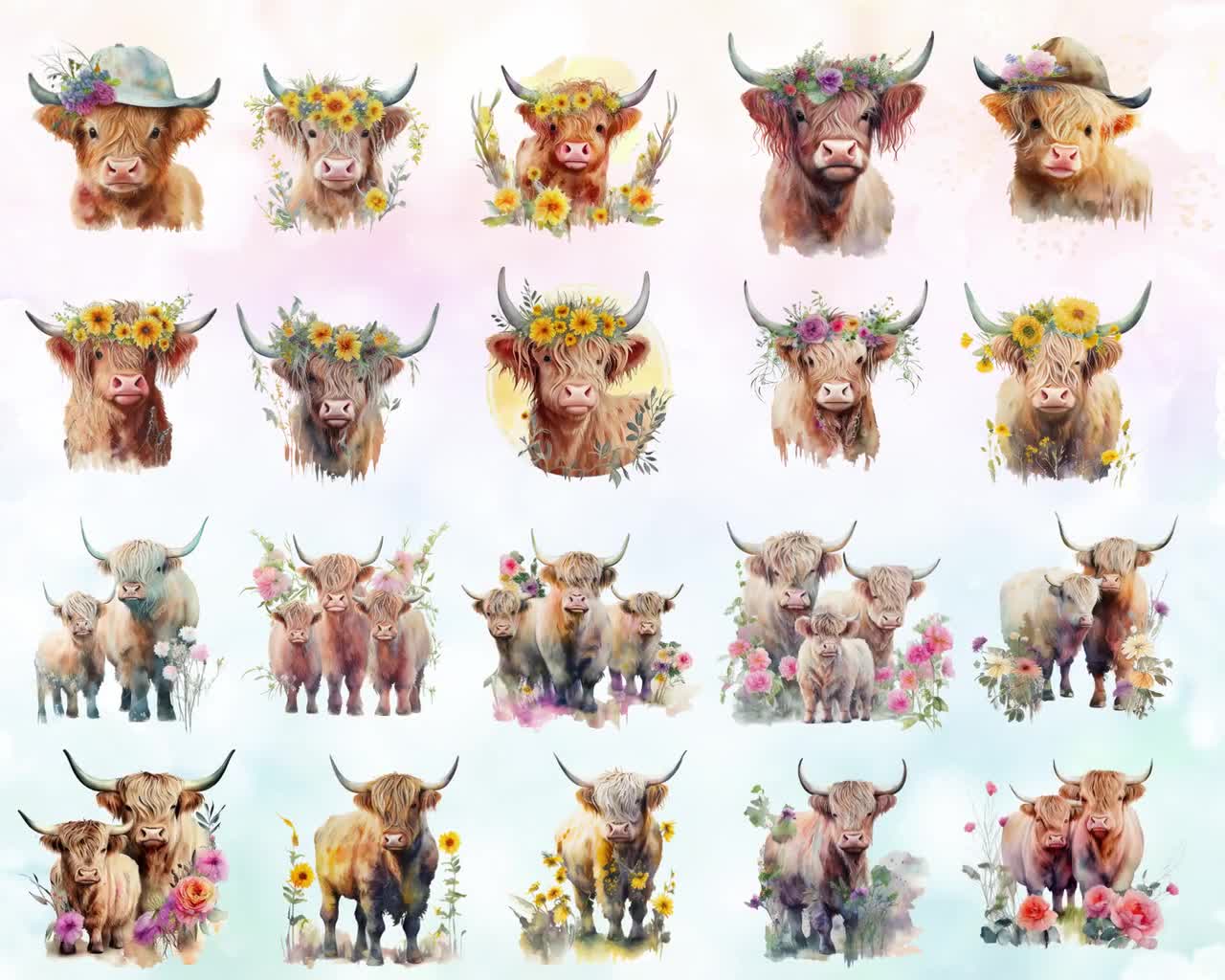 Highland Cow 25 PNG cliparts