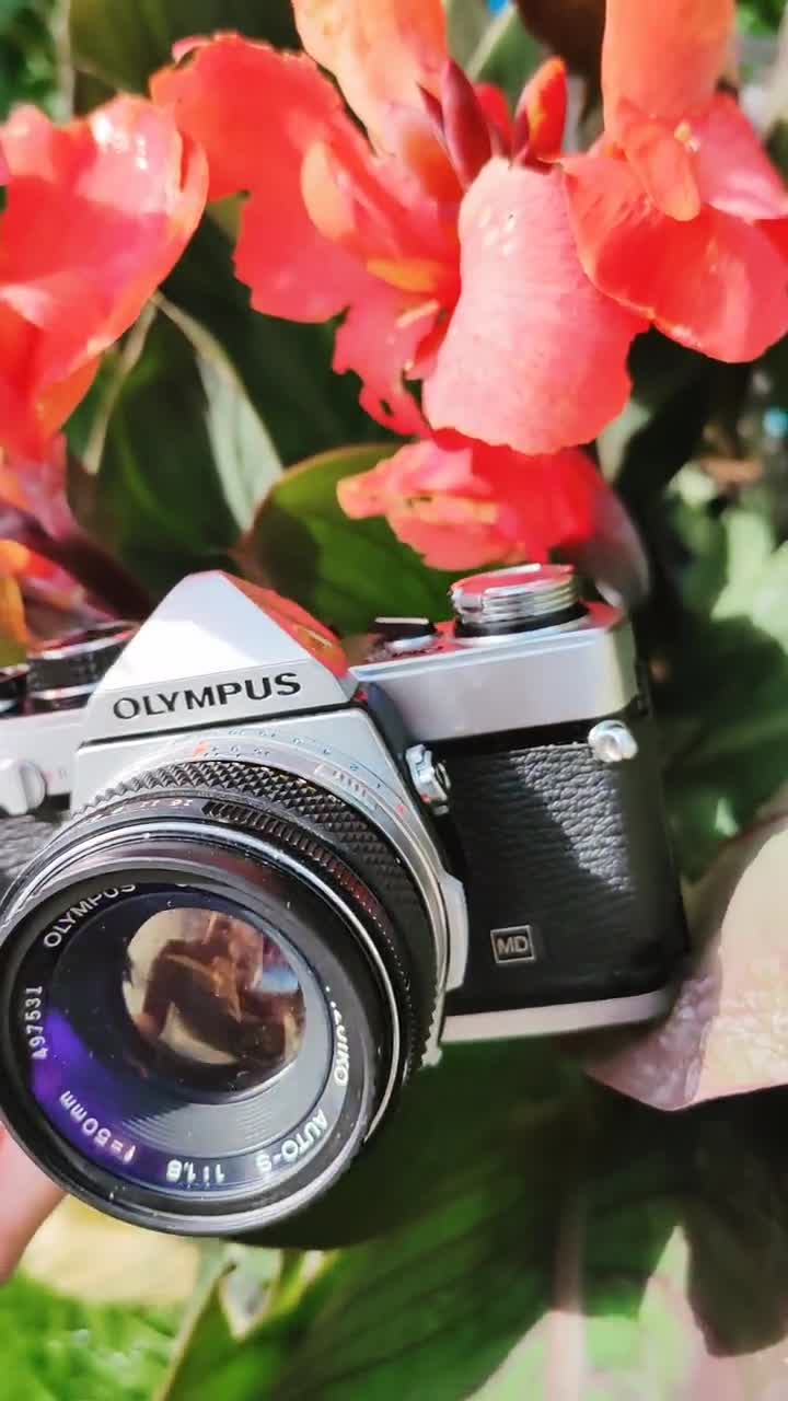 オリンパス OM-2 35mmフィルムカメラ（50mm f1.8 Zuikoレンズ