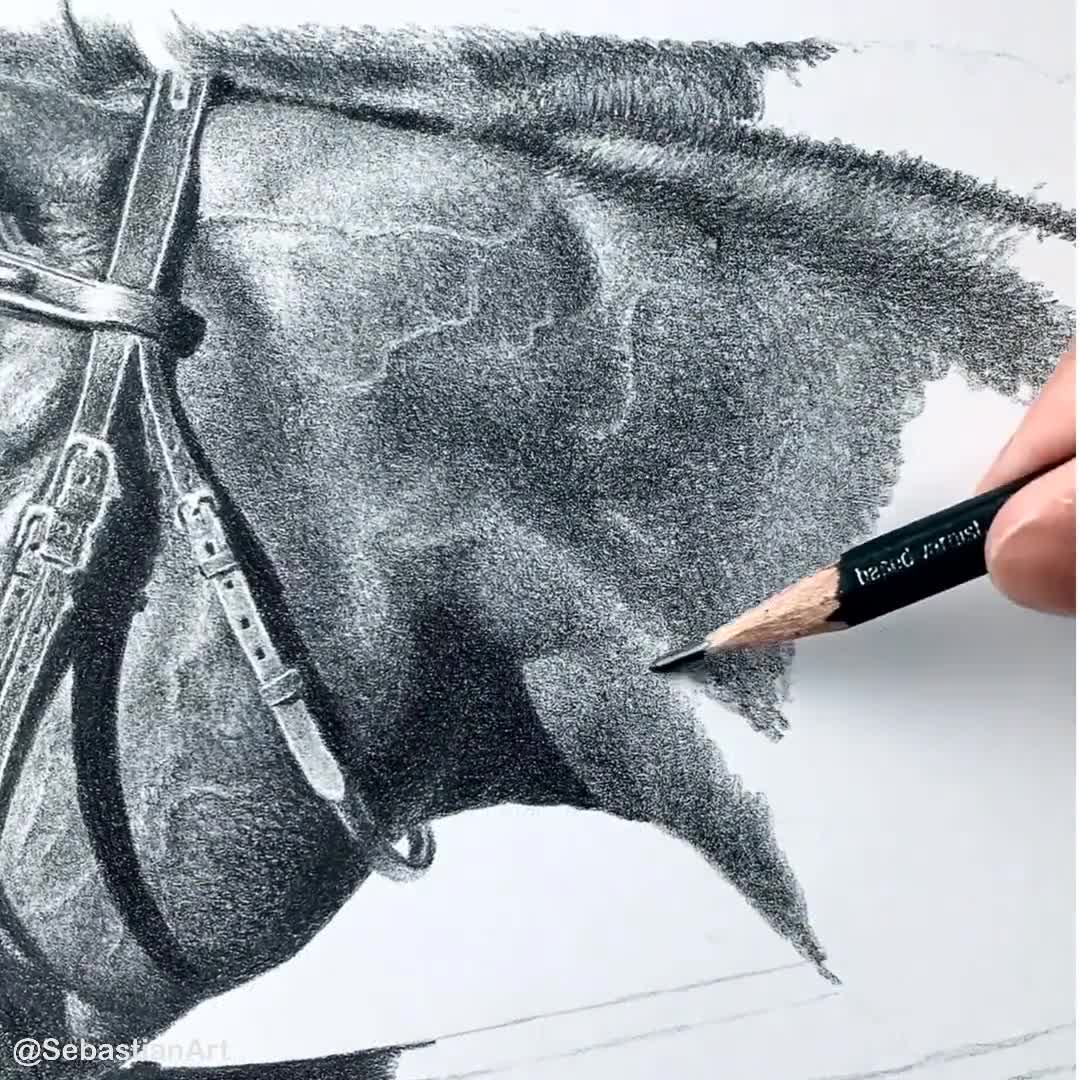 馬のスケッチ - カスタムの馬の鉛筆画 - デジタルではありません