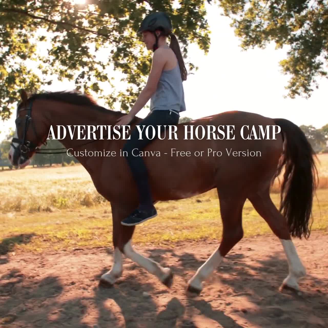 horse-camp-flyer-template-canva-flyer-template-summer-camp-flyer-horseback-riding-lesson-advertisement-marketing-equestrian-homeschool-etsy