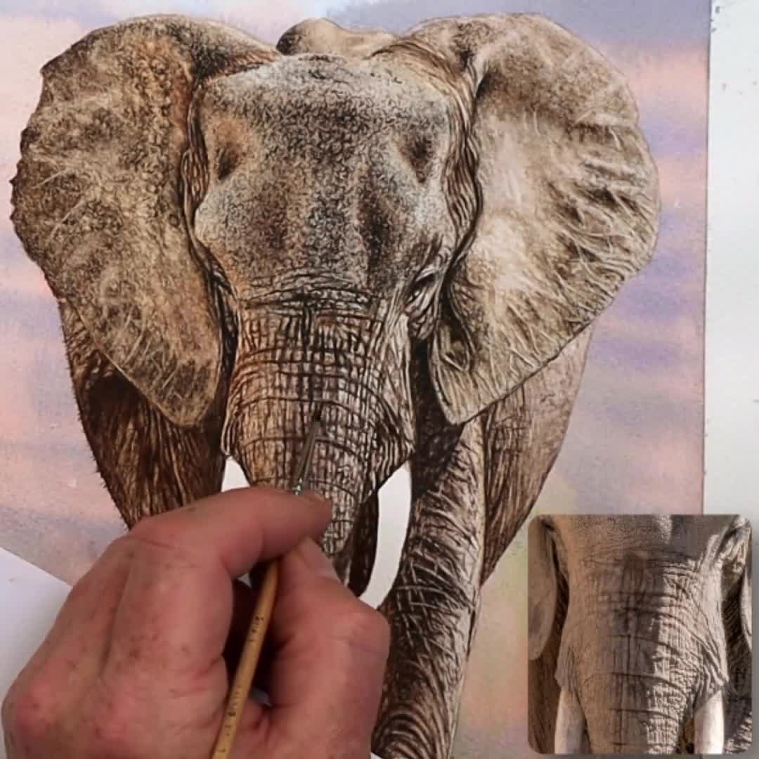 How To Draw An Elephant - Art For Kids Hub -