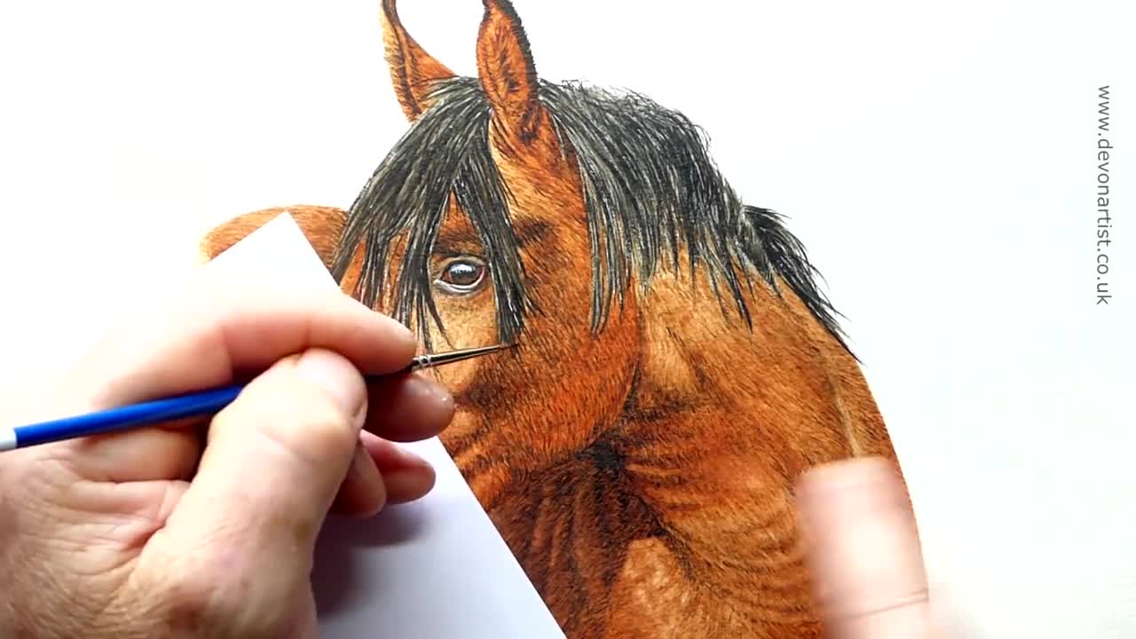 Cavallo ad acquerello per intero corpo con glitter argentati · Creative  Fabrica