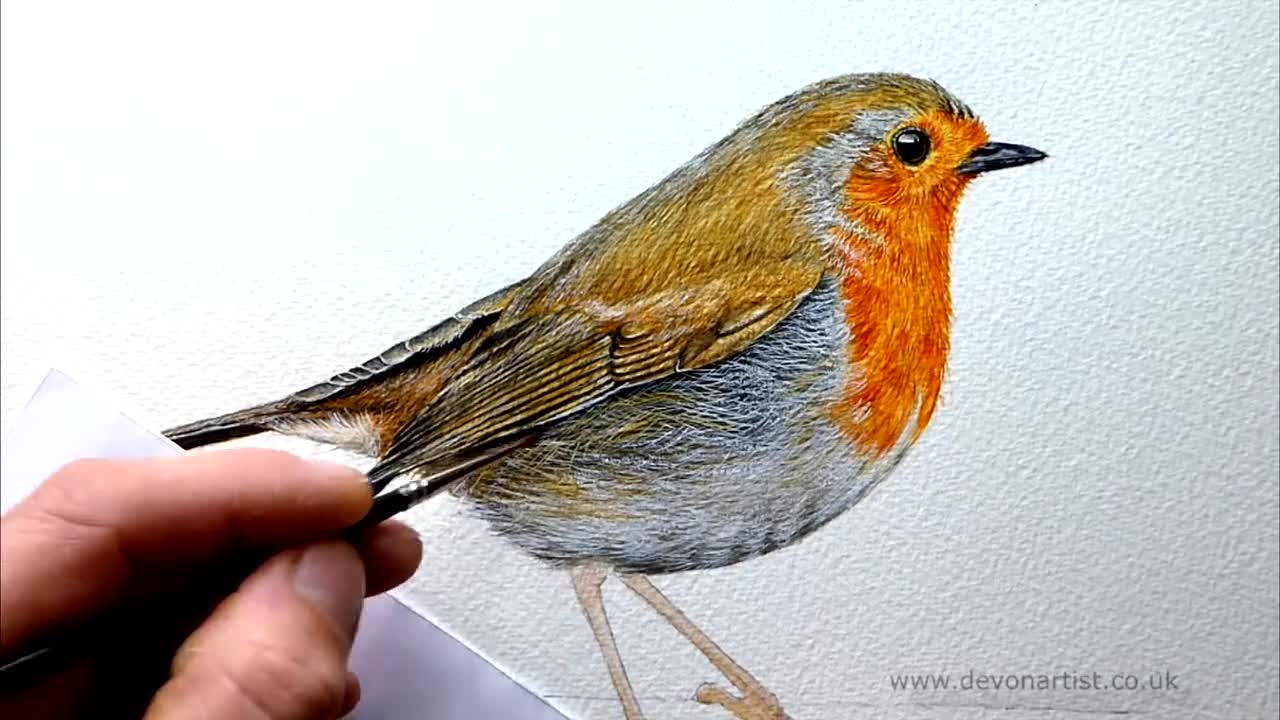 Back To The Basics: Learn How To Draw A Bird From A Few Basic Shapes –  Paintingcreativity