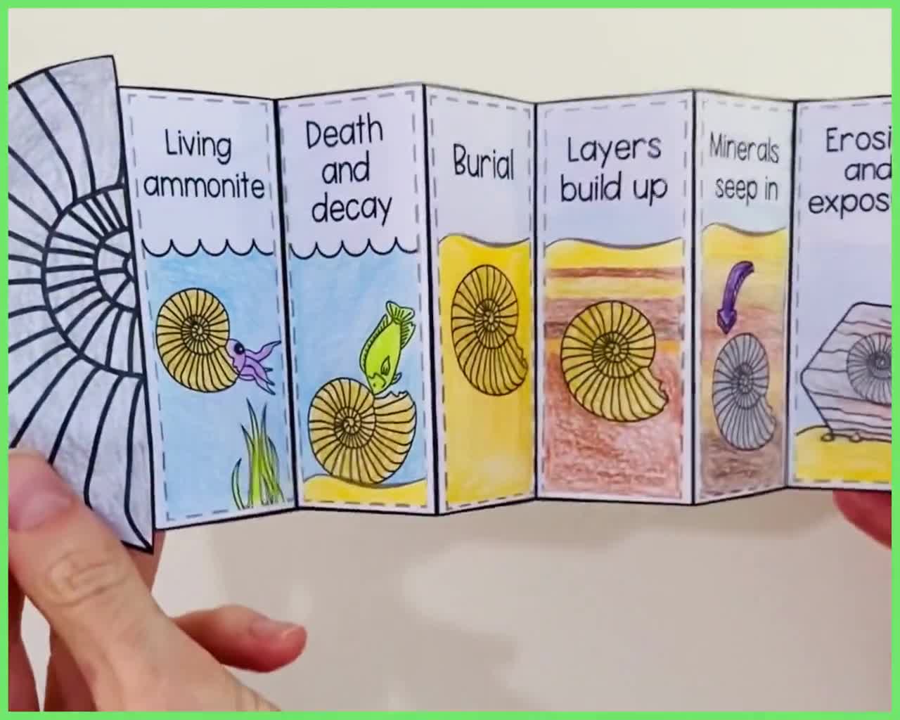 How A Fossil Is Formed Foldable Activity For Kids A4 And