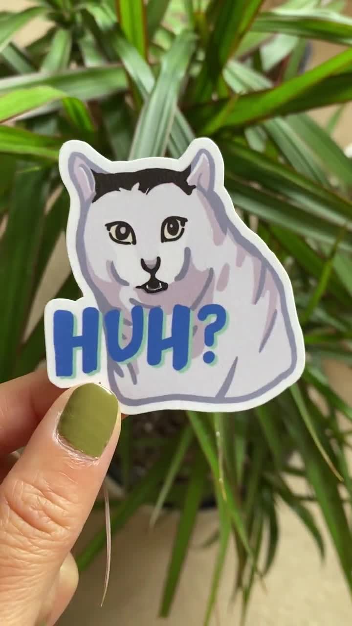 Confused Cat Sticker