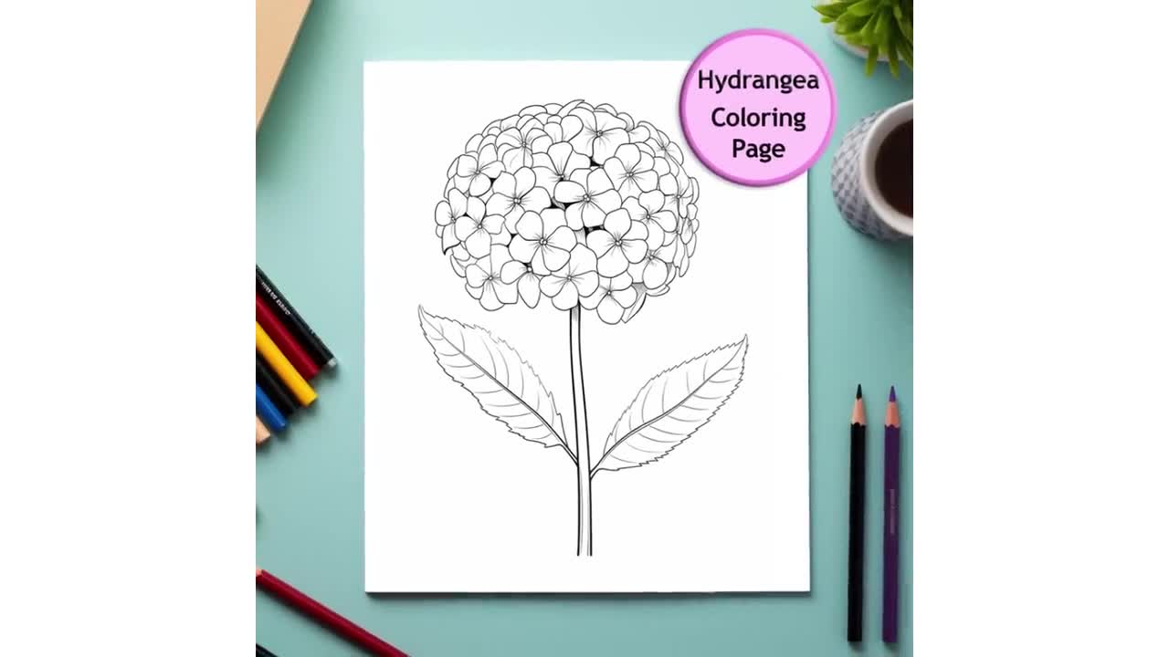 Hydrangea Flower Coloring Page