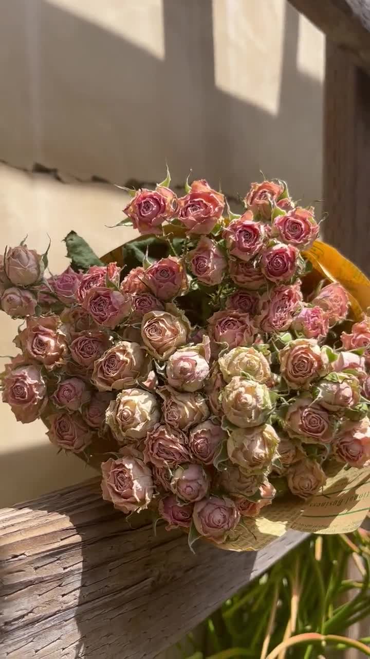 Margaret Light Pink Color Preserved Bunch – Sprout Home