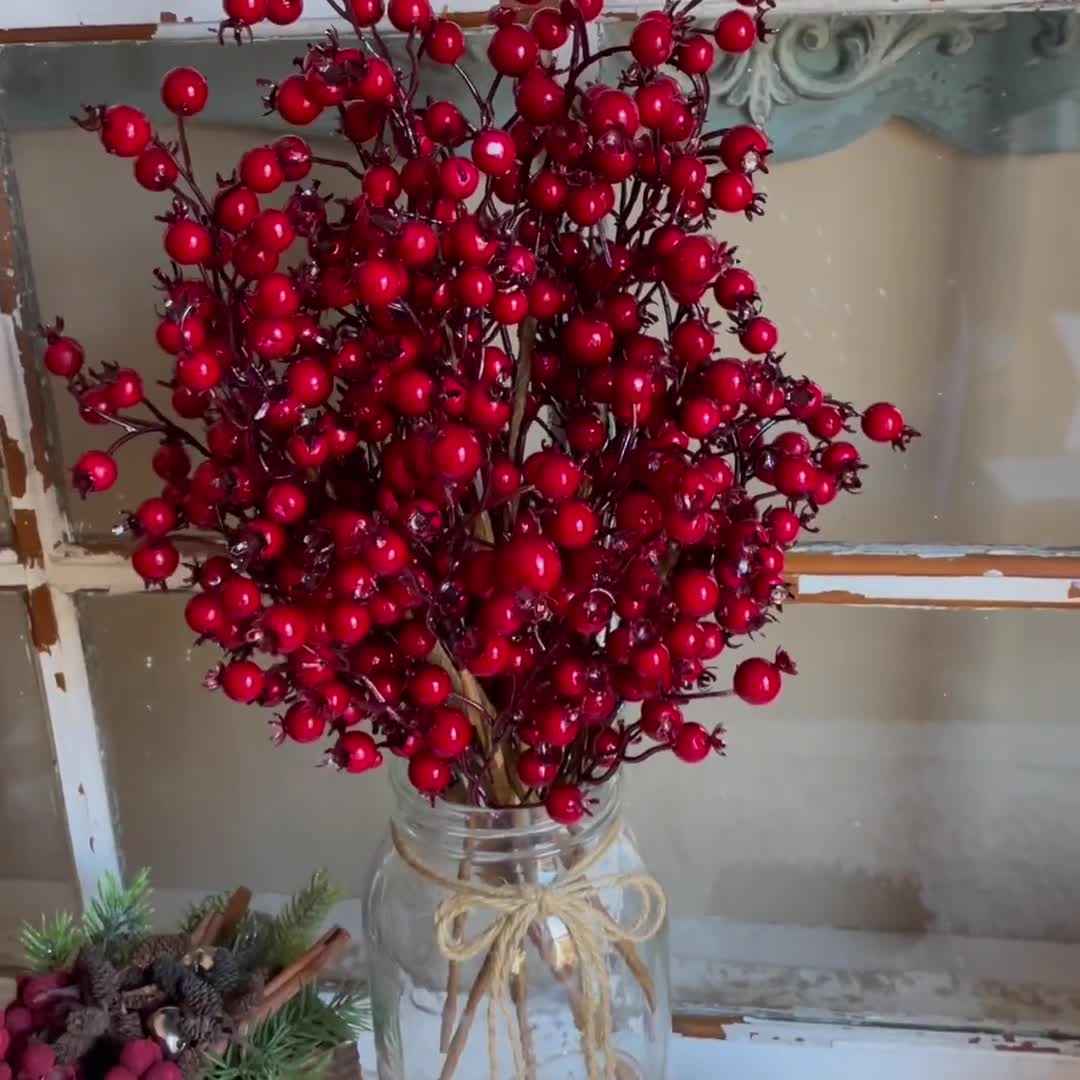 Red Berry Stem – Belle Jar Design