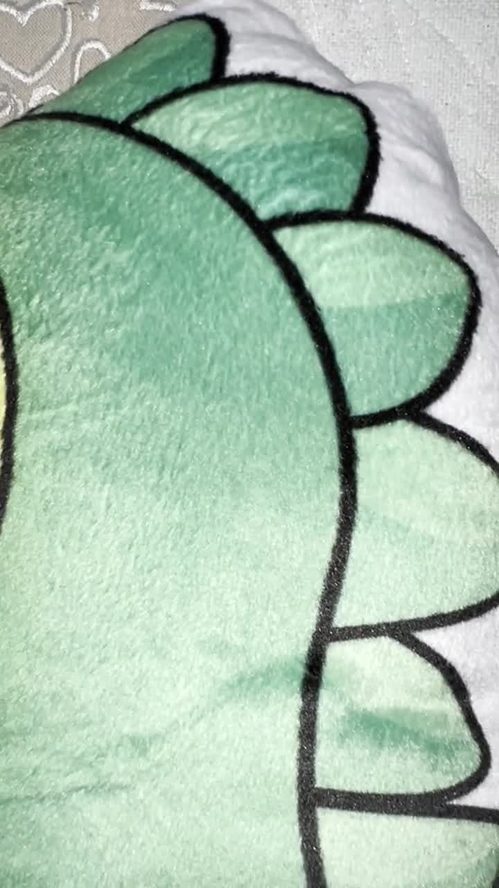 Cuscino a forma di Conuro dalle guance verdi: peluche a forma di uccello per decorare la casa. video poster