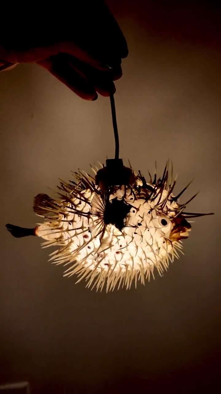 フグ ハリセンボン ティキバーランプ ストリングライト 航海装飾