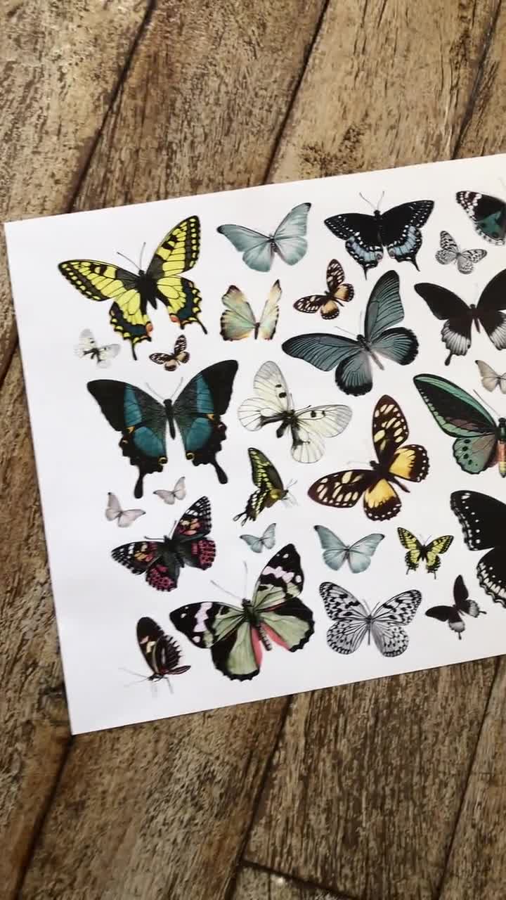 Vintage Butterflies Printable Collage Sheet, Junk Journal