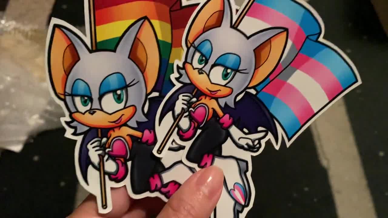 SEGA Sonic the Hedgehog Amy Rose LGBT Pride Flag Vinyl -  Portugal