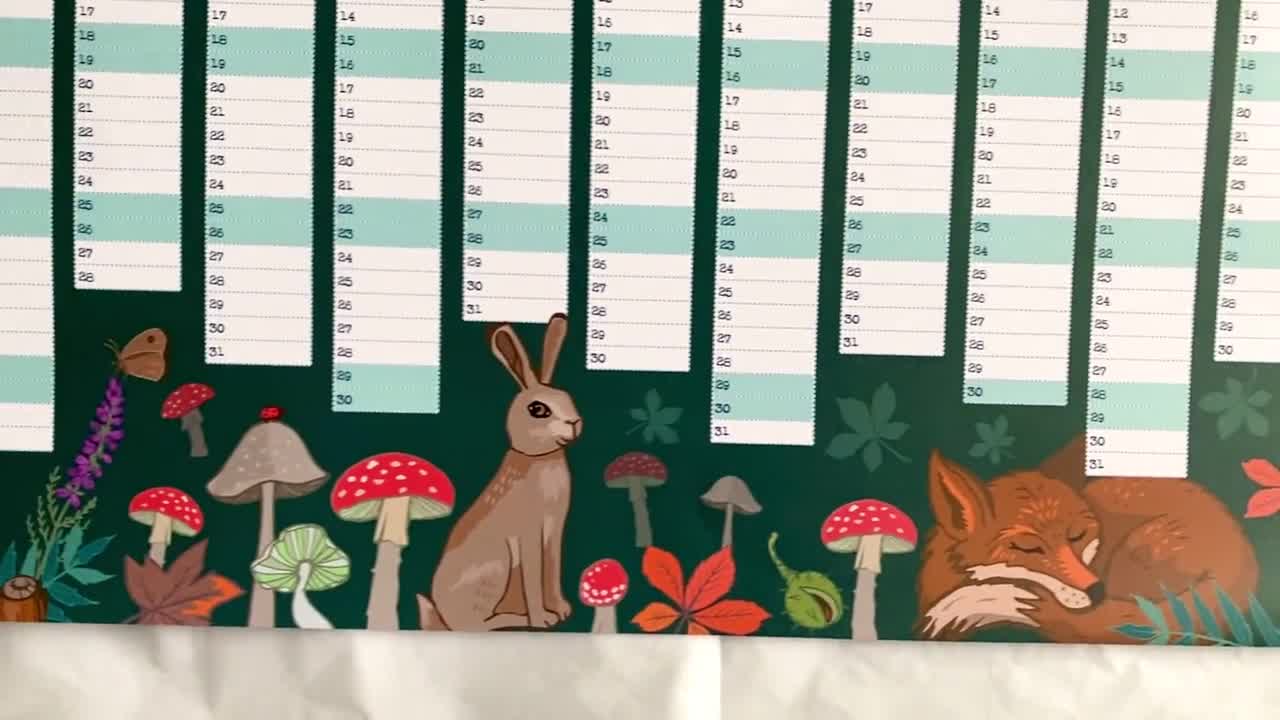 Calendar Wrapping Paper - Rachel Hollis