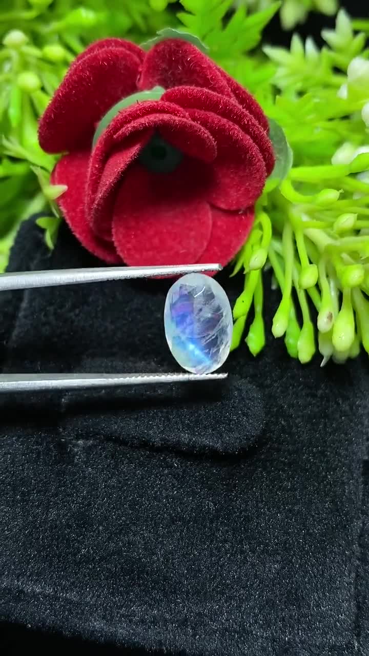 Oval Rainbow Moonstone Cabochon | Blue Flashy Gemstone, 7x11x4 MM