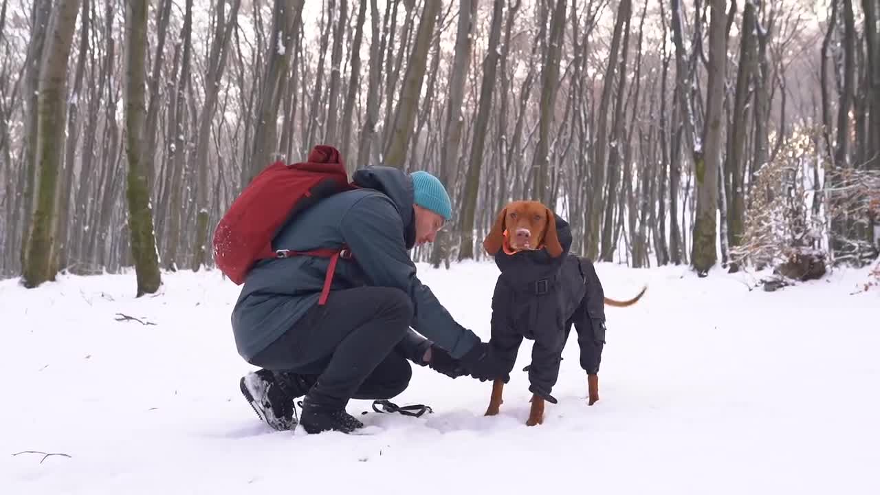 Dog Windbreaker Techwear - MEMBRANE Fabric - Dog Raincoat