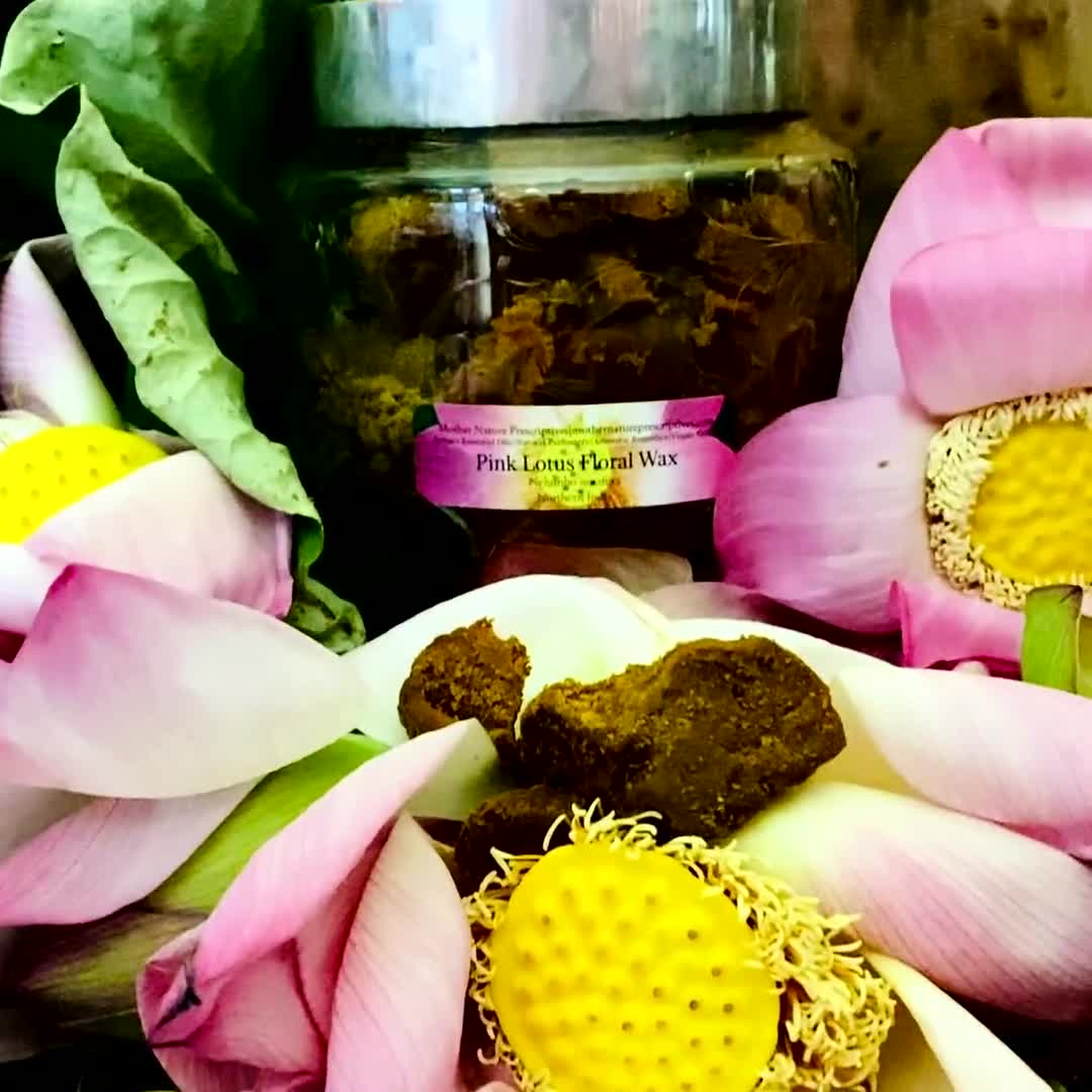 Pink Lotus Floral Wax - Essential Oil Apothecary