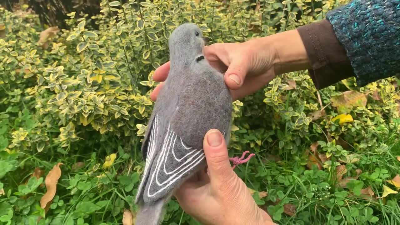 Eurasian Collared Dove birds doll - Handmade natural action figure of  beautiful Eurasian bird.