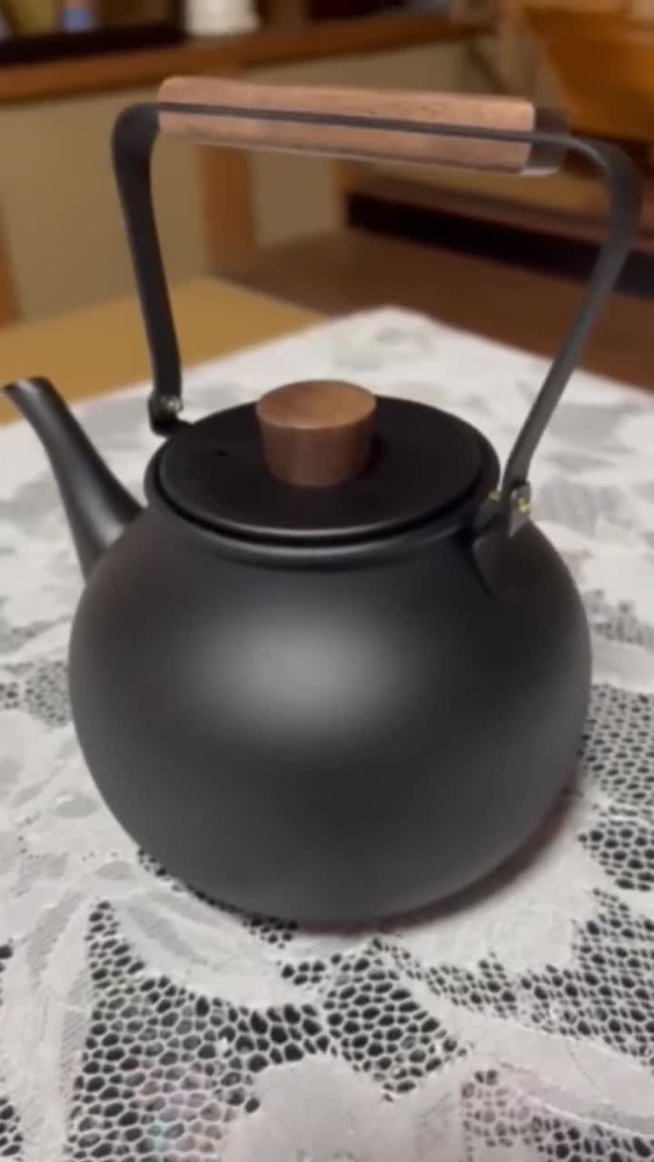 Japanese Stainless Steel Teapot Handmade Kyusu Made in Japan 0.7L 