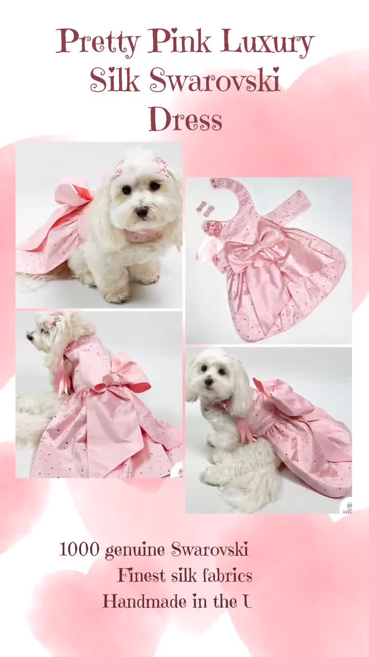 Amazon.com : Topkins Summer Girl Dog Dress, Silk Tulle