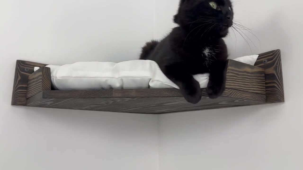 Mur d'escalade pour chat - Luxueux lit mural pour chat (gris)