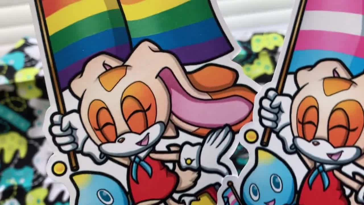 SEGA Sonic the Hedgehog Amy Rose LGBT Pride Flag Vinyl -  Portugal