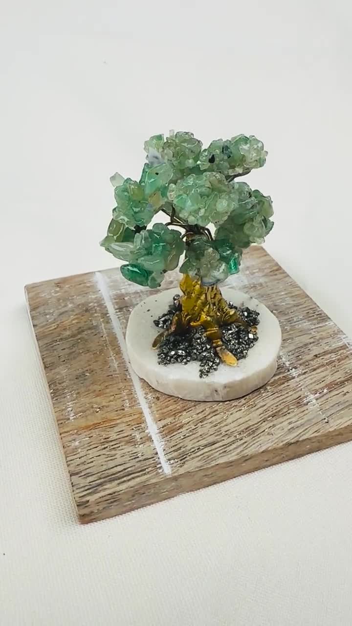 ミニ翡翠の木 - Etsy 日本