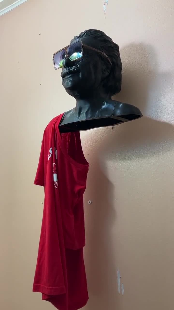 Albert Einstein Wall-Mounted Mannequin: Uniquely Crafted popular Shirt Head, Quirky