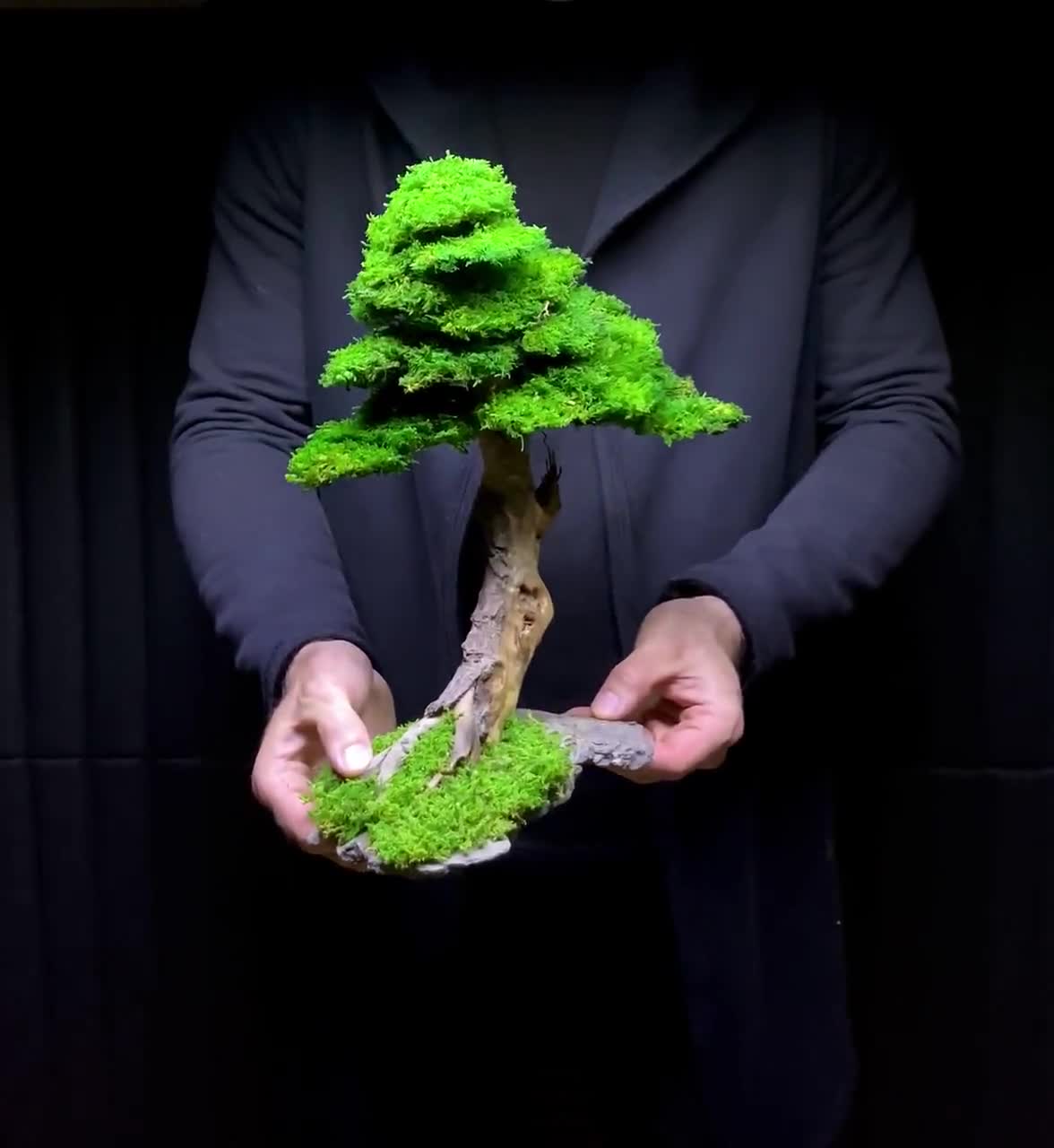 Mine (EP)  Bonsai Trees