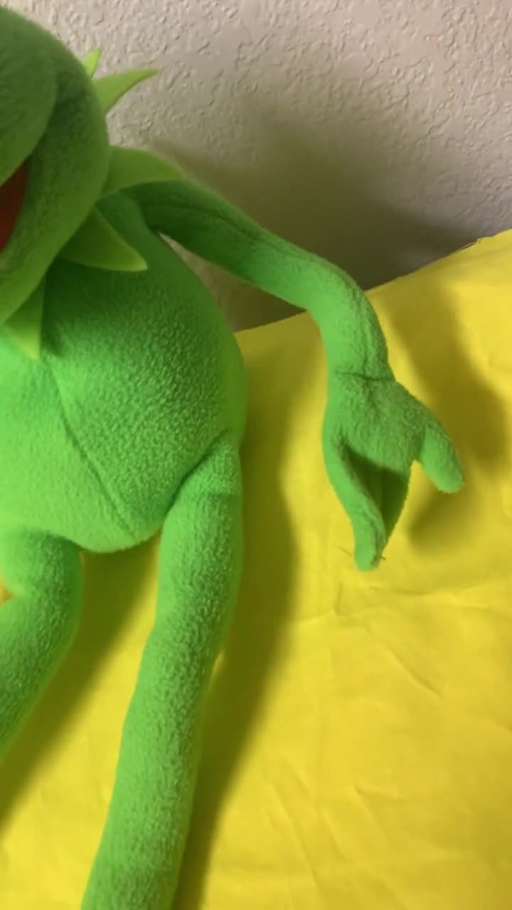 ディズニーのカーミット・ザ・フロッグのぬいぐるみ。ワイヤー入り