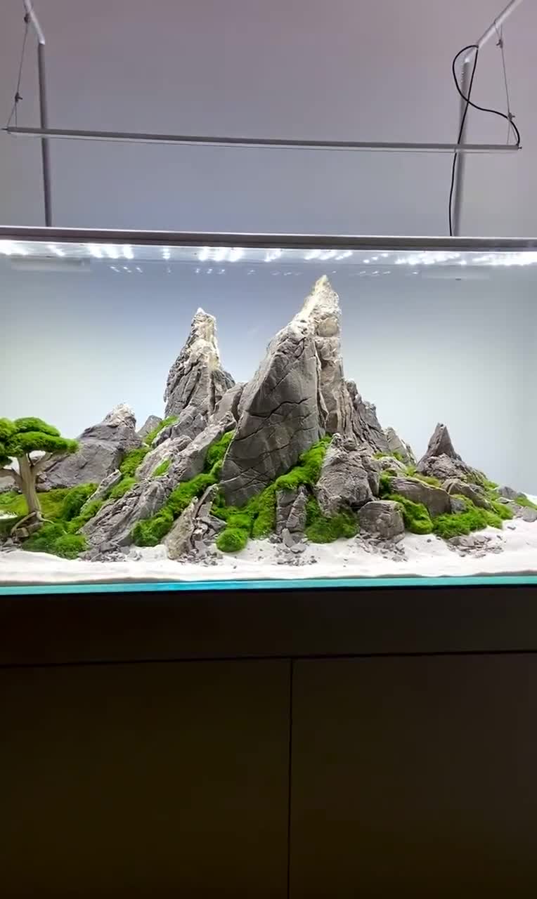 Ancient Stone Glued Aquascape for Nano Aquarium 