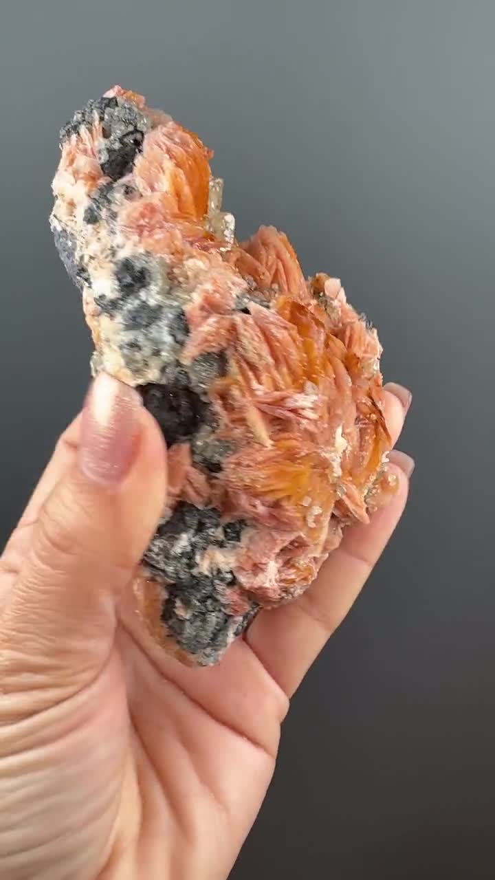 重晶石と青鉛鉱 金属方鉛鉱と青鉛鉱の結晶標本を添えた刃状の鮮やかな重晶石 - Etsy 日本