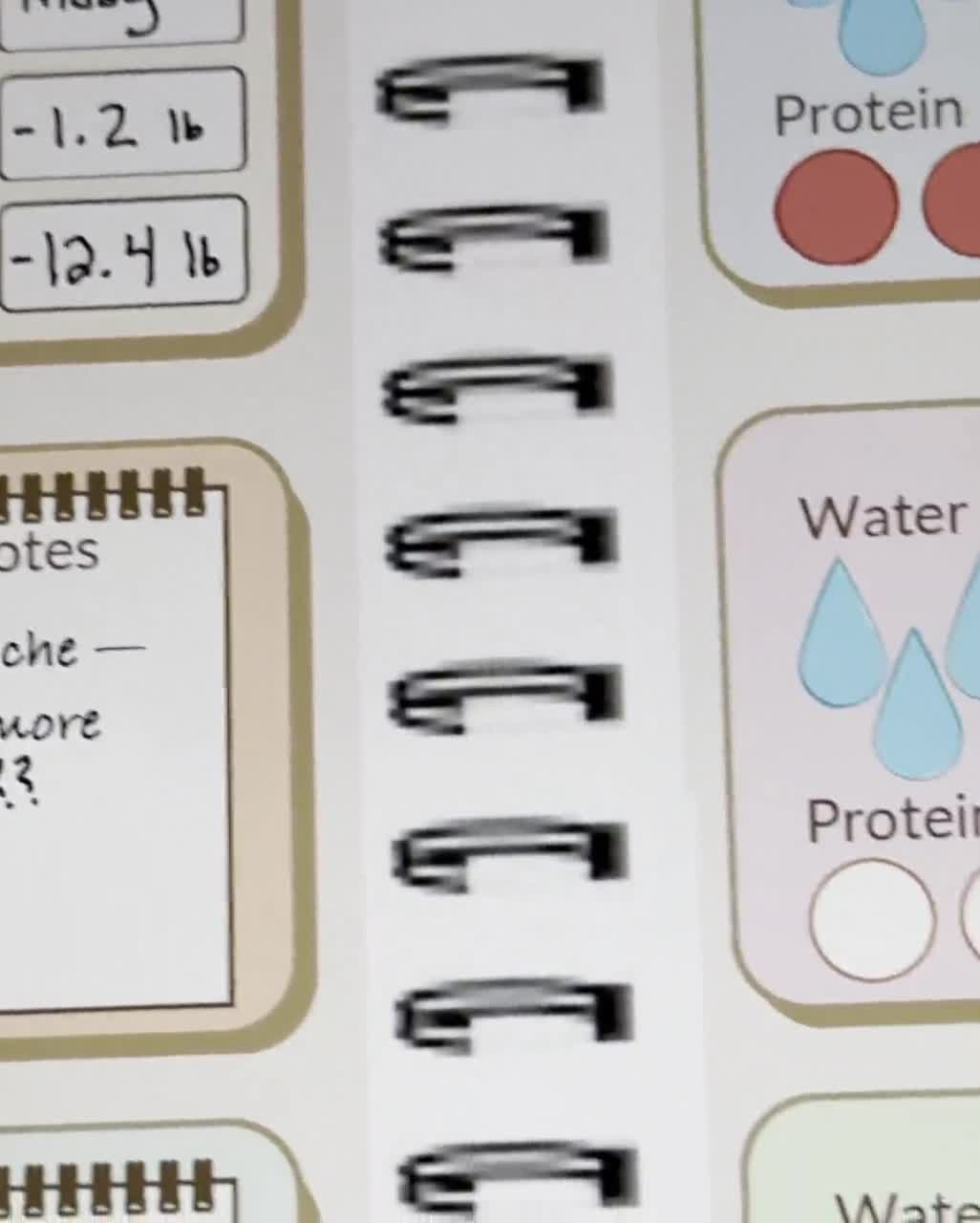 Weekly GLP-1 Habit Tracker: Weight Loss & Wellness (PDF Download)