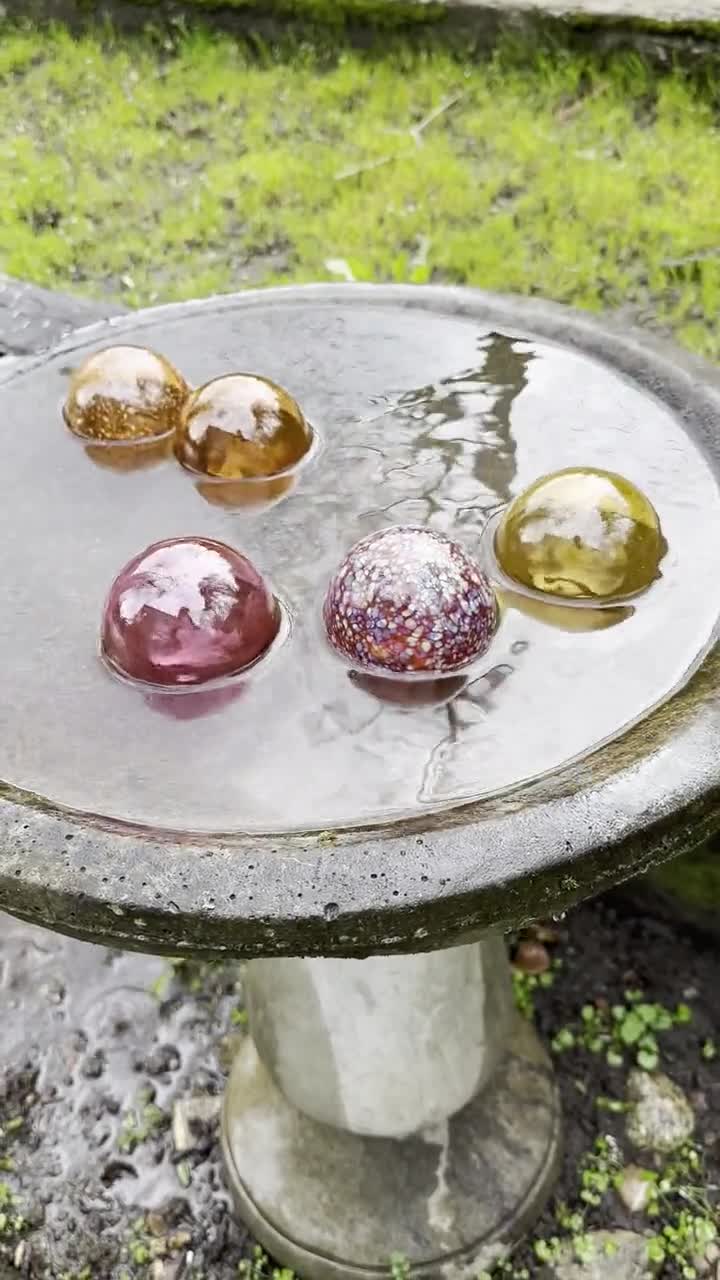 Floating glass balls in pond.  Glass floats, Glass blowing, Plant