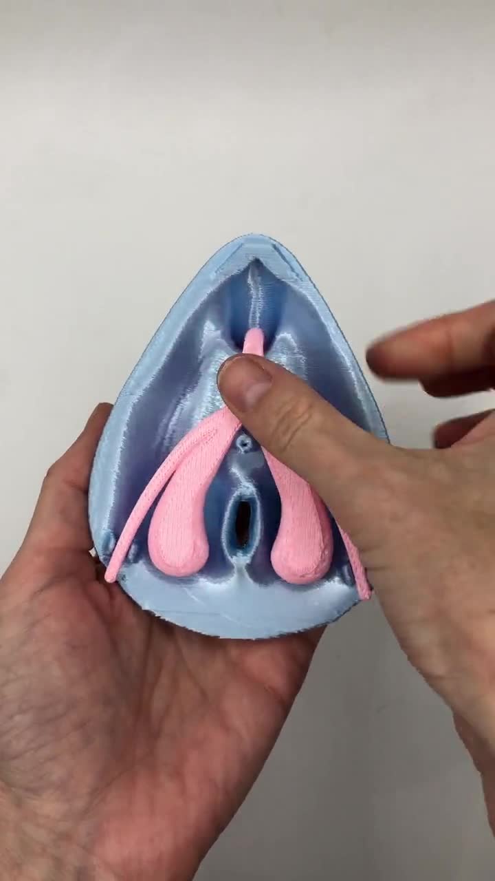 Vulva + Clitoris - Detachable Anatomical Model - Empowering Feminist Gift  and Educational Tool - 3D printed