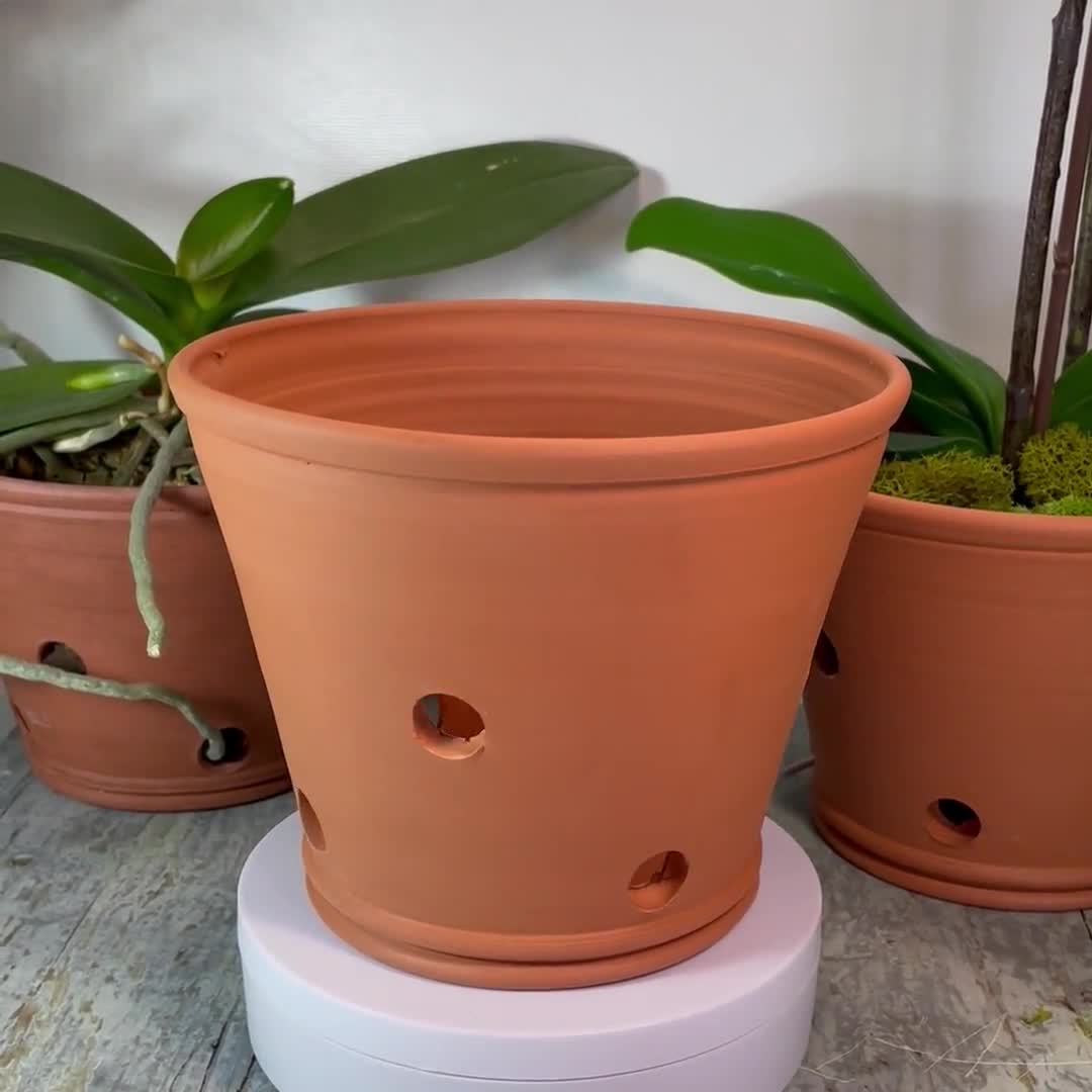 Macetas 5.5cm Suculentas Cactus Juego 28 Macetas Terracota 5.5cm - Con  Orificio Drenaje, Ideal Para Suculentas Y Manualidades Macetas Mini Plantas  Suculentas, image size:1080x1080