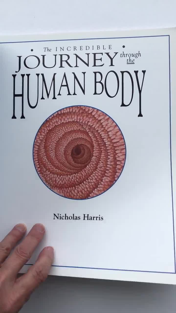 Journey through the human body