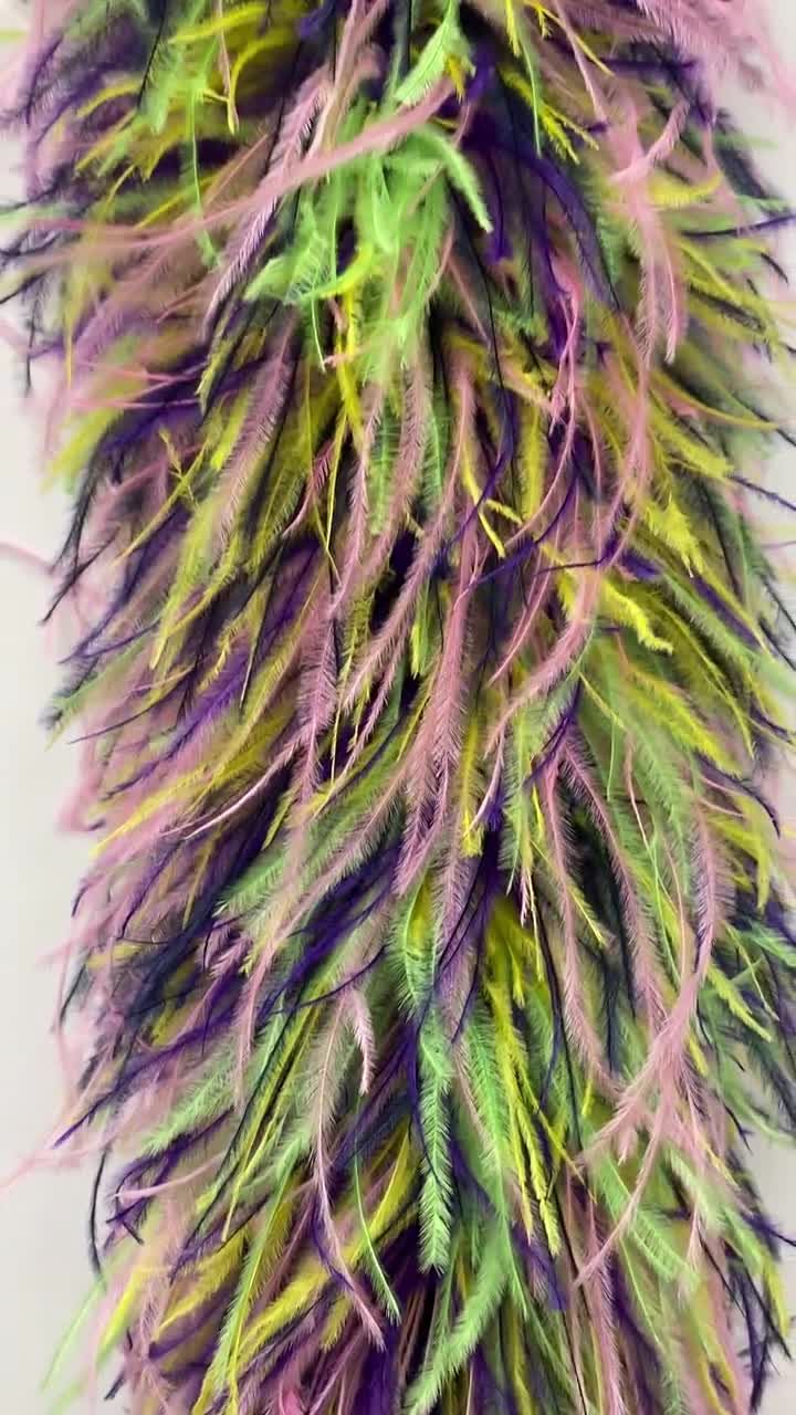 Mardi Gras Feather Boa for Parades, Festivals, Costumes, Halloween