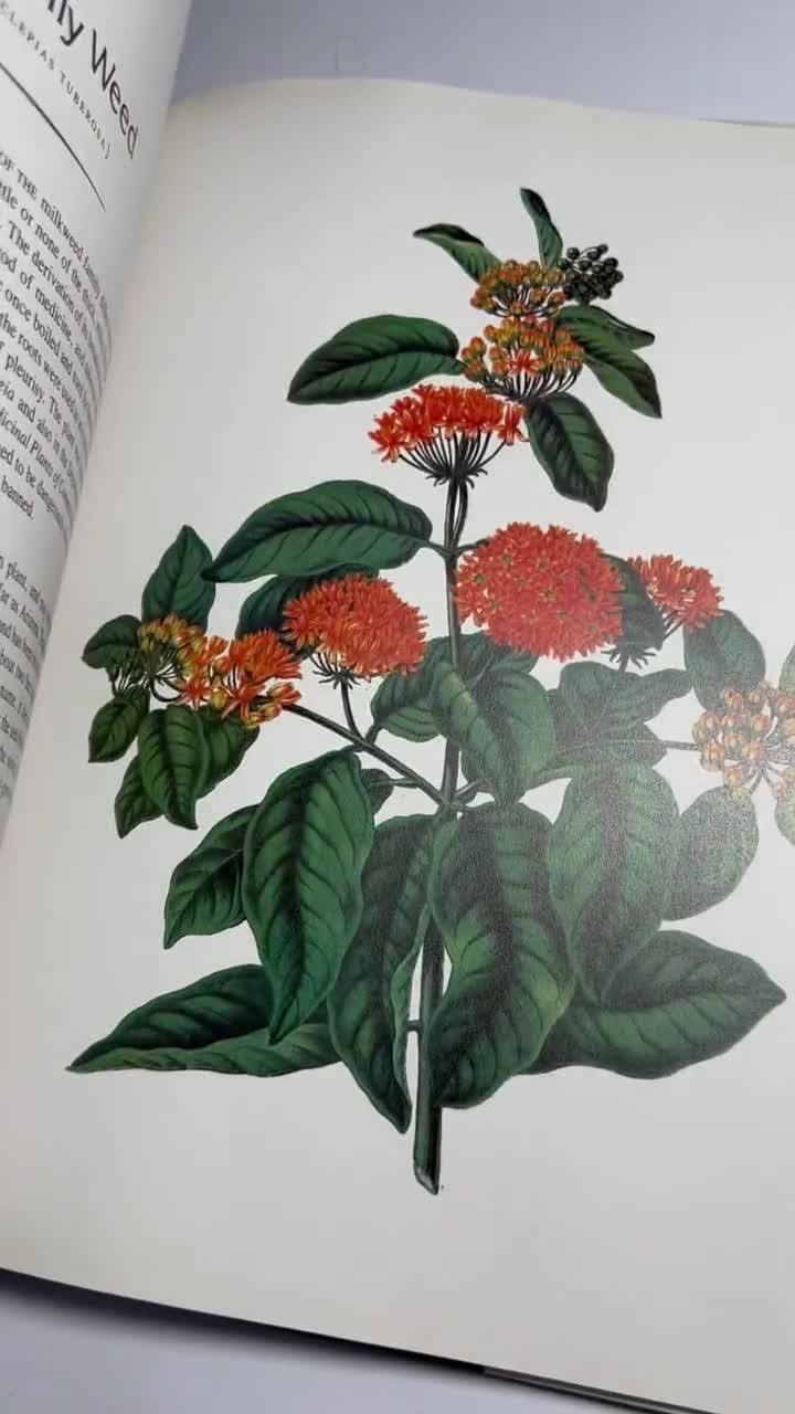 Vintage Botanical Art Book: Cultivated Flowers, 1979 Hardcover - Etsy