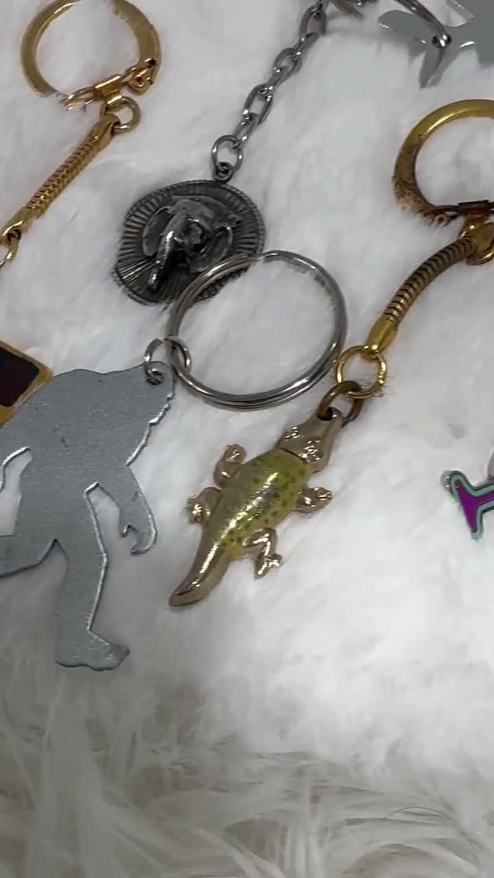 ヴィンテージノベルティキーホルダー - 楽しいコレクション、幸運