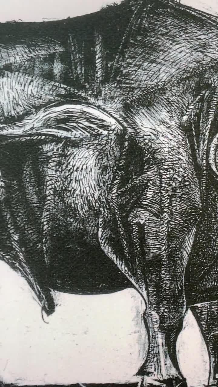 ピカソ　1961年　ヴィンテージ　リトグラフ　闘牛　額付　CoA付 ピカソ 1961年 ヴィンテージ リトグラフ 闘牛 額付 CoA付 2025年