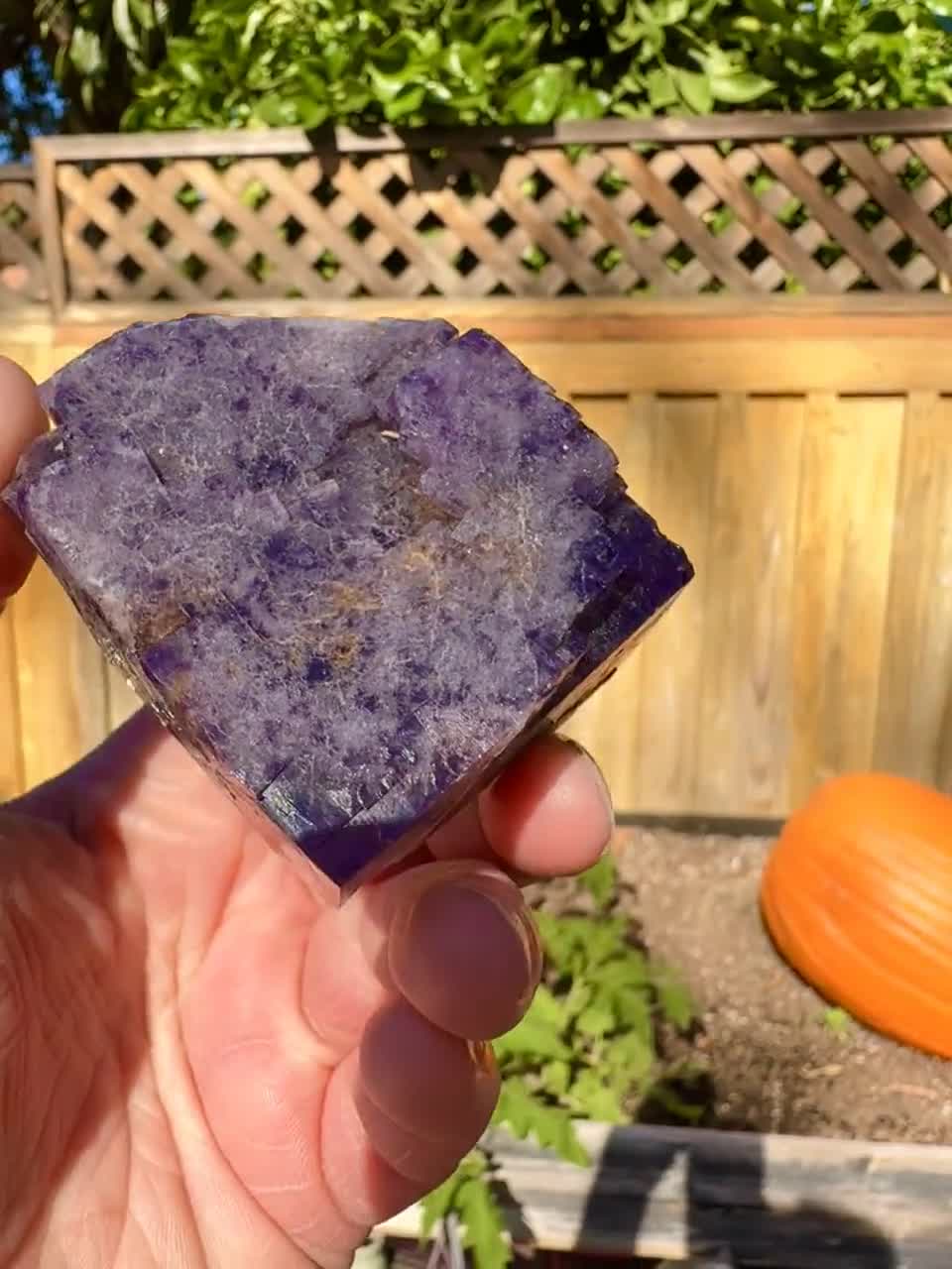 RAW ミディアム パープル レイン フローライト レディ アナベラム