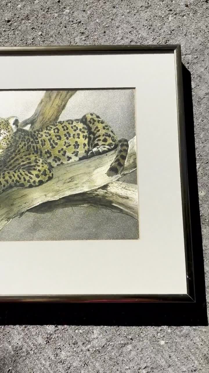 Metallic Foil Art Framed Leopard Picture by C. Hoss | Big