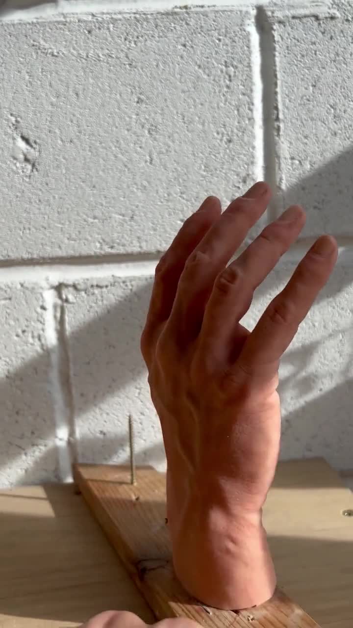 Realistic Silicone Pair of Hands 